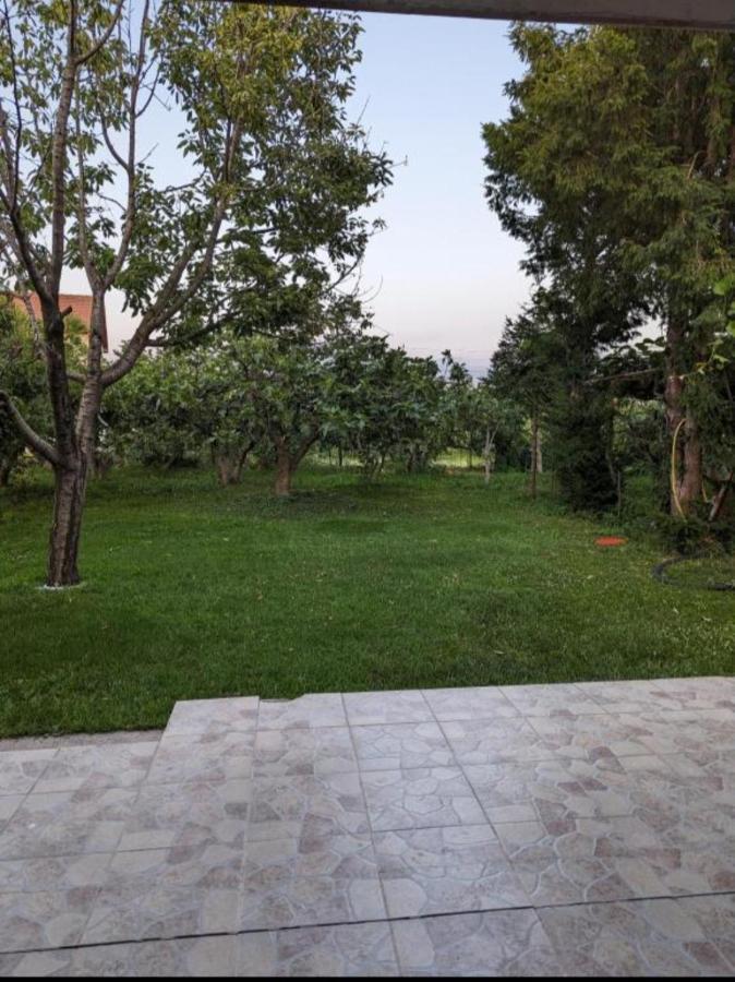 Apartment Filipovic Podgorica Exteriör bild